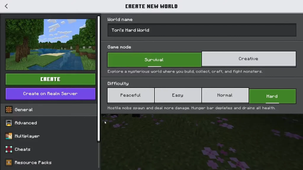 Minecraft choose new world settings interface